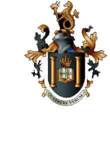 RBAI Foundation